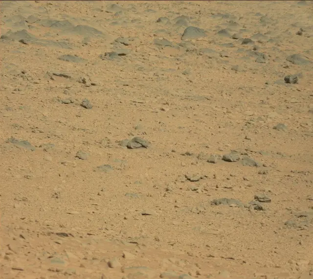Sol 323: Mast Camera (Mastcam)