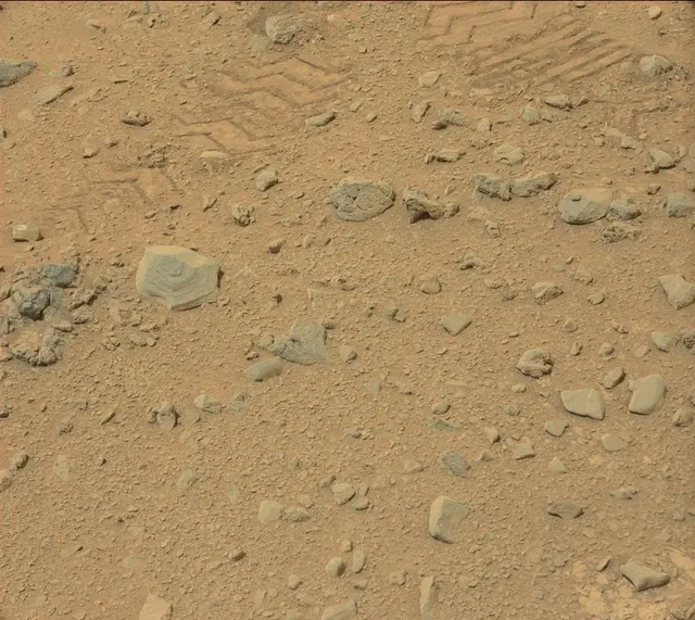 Sol 325: Mast Camera (Mastcam)