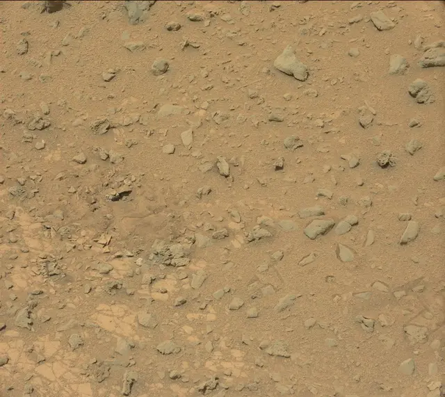 Sol 325: Mast Camera (Mastcam)