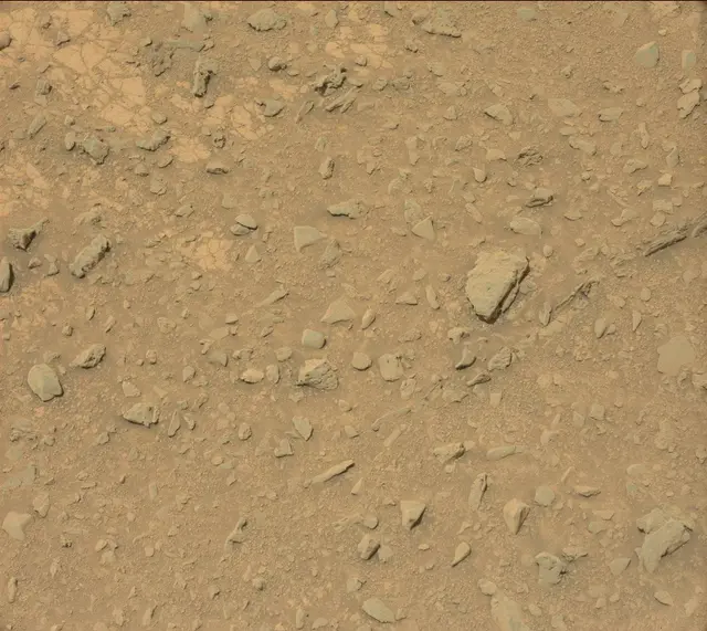 Sol 325: Mast Camera (Mastcam)