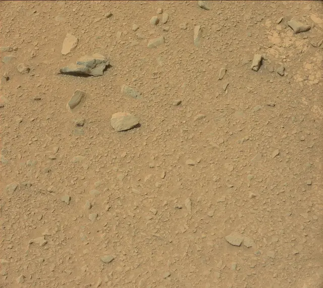 Sol 325: Mast Camera (Mastcam)