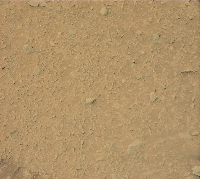 Sol 325: Mast Camera (Mastcam)