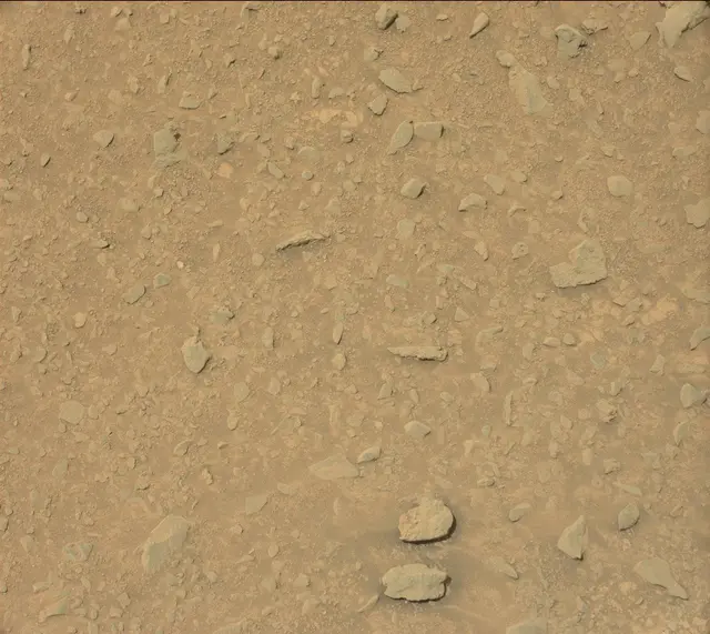 Sol 325: Mast Camera (Mastcam)