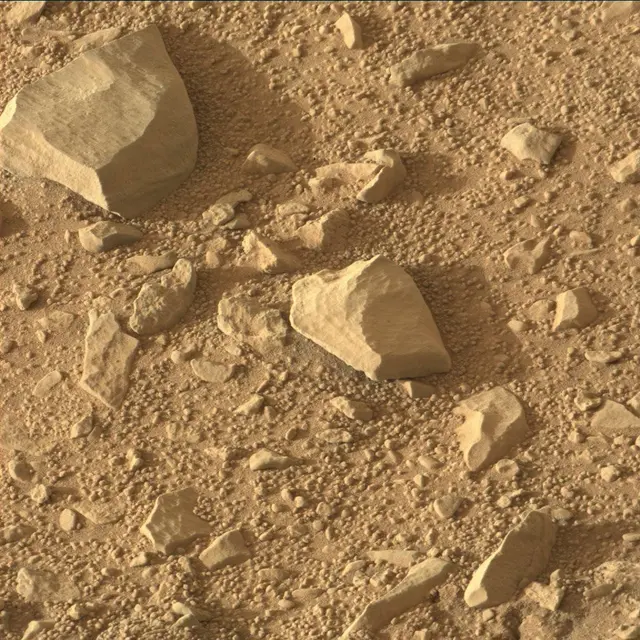 Sol 328: Mast Camera (Mastcam)