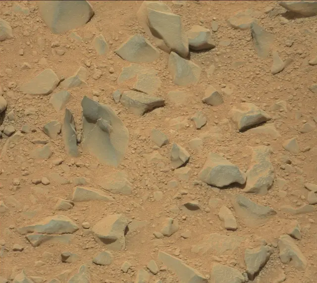 Sol 329: Mast Camera (Mastcam)