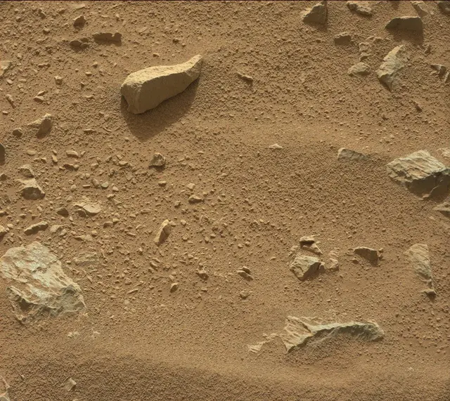 Sol 333: Mast Camera (Mastcam)