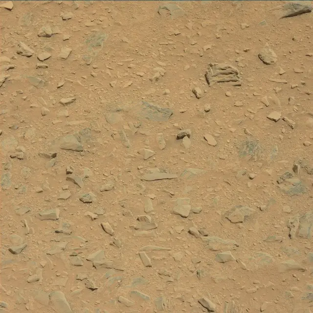 Sol 336: Mast Camera (Mastcam)