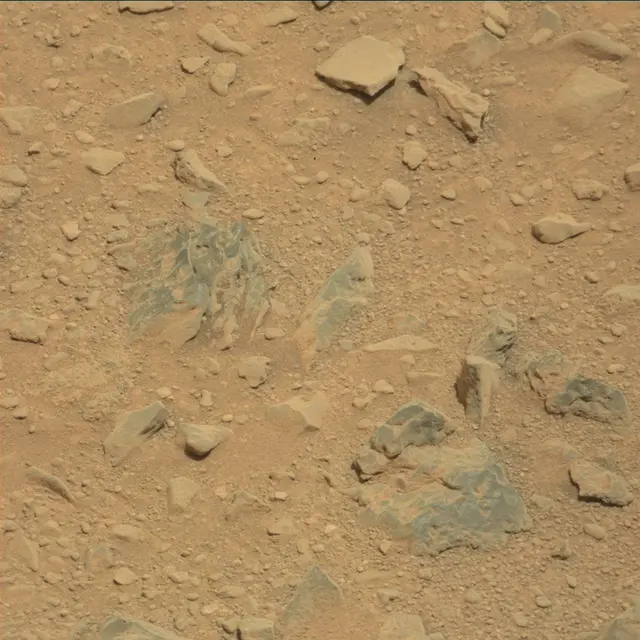 Sol 336: Mast Camera (Mastcam)