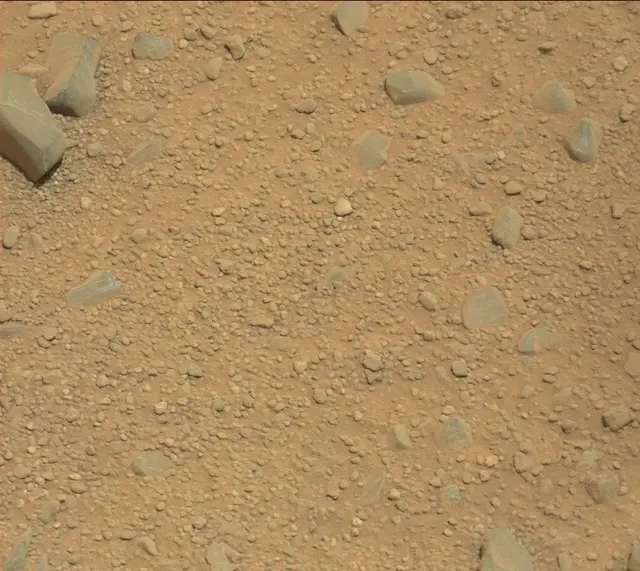 Sol 338: Mast Camera (Mastcam)