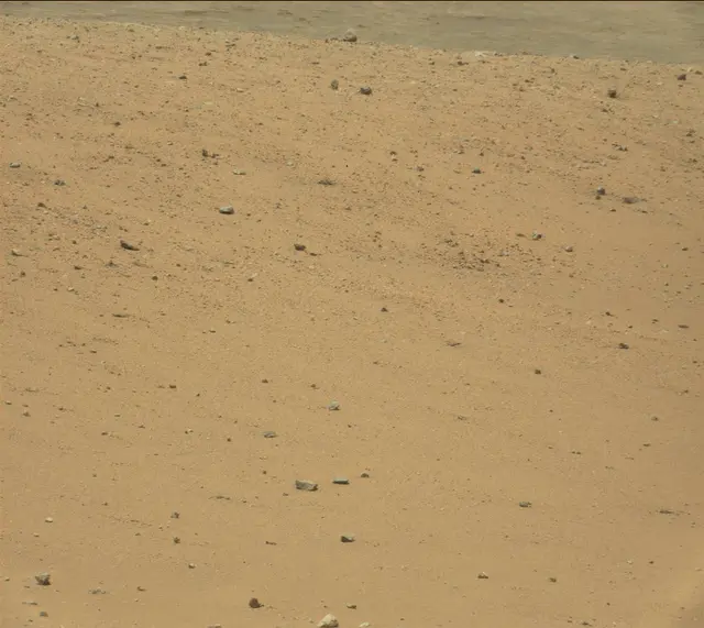 Sol 338: Mast Camera (Mastcam)