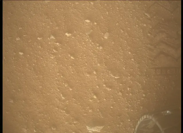 Sol 338: Mars Descent Imager (MARDI)