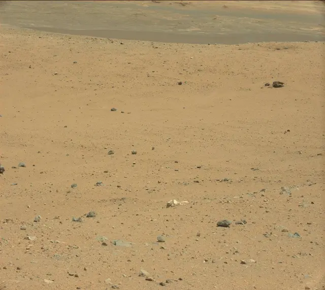 Sol 339: Mast Camera (Mastcam)