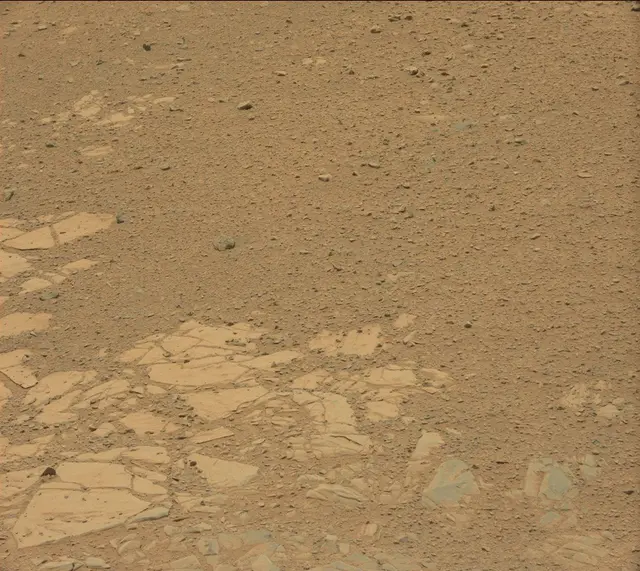 Sol 342: Mast Camera (Mastcam)