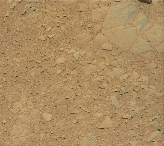 Sol 342: Mast Camera (Mastcam)