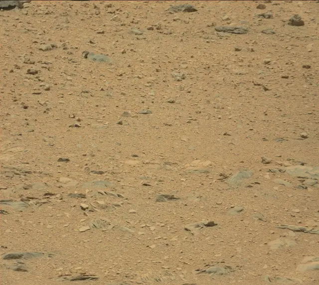 Sol 342: Mast Camera (Mastcam)
