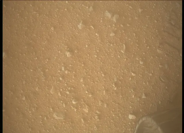Sol 342: Mars Descent Imager (MARDI)