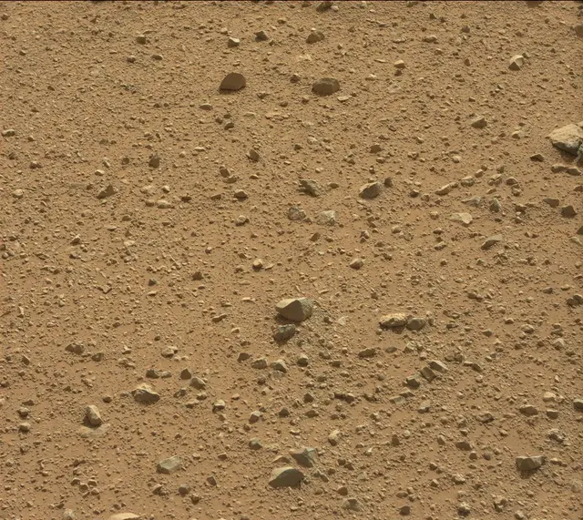 Sol 344: Mast Camera (Mastcam)