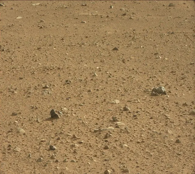 Sol 345: Mast Camera (Mastcam)
