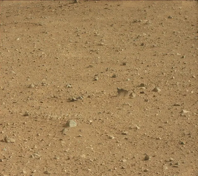 Sol 345: Mast Camera (Mastcam)