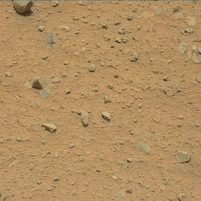 Sol 346: Mast Camera (Mastcam)
