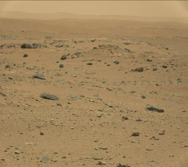 Sol 346: Mast Camera (Mastcam)
