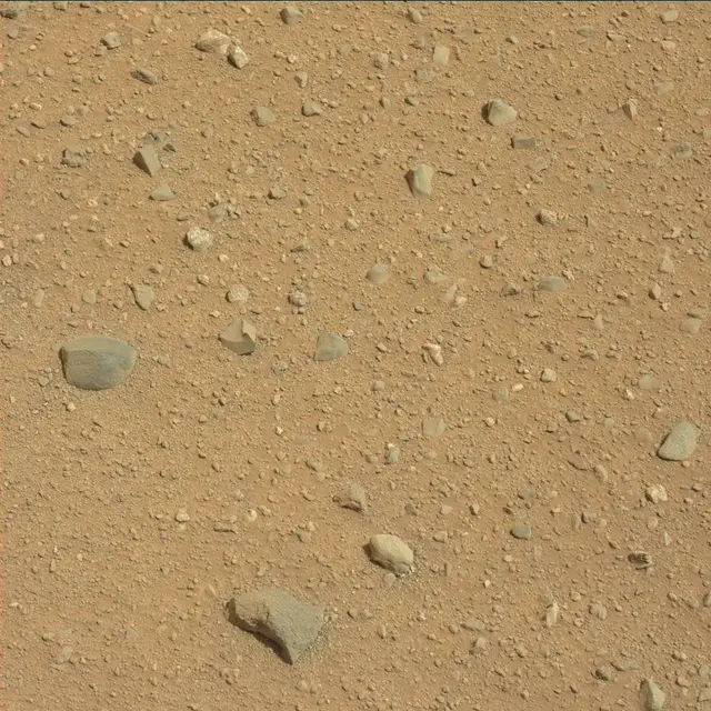 Sol 348: Mast Camera (Mastcam)