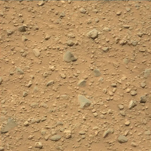 Sol 350: Mast Camera (Mastcam)