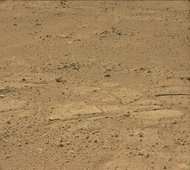 Sol 352: Mast Camera (Mastcam)