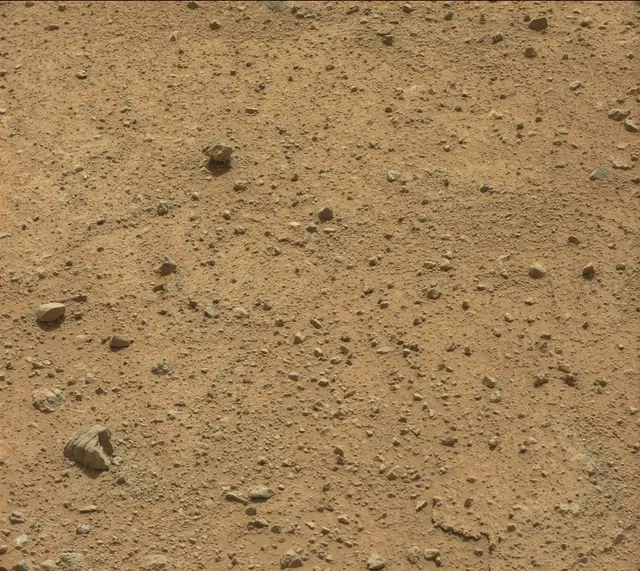 Sol 352: Mast Camera (Mastcam)