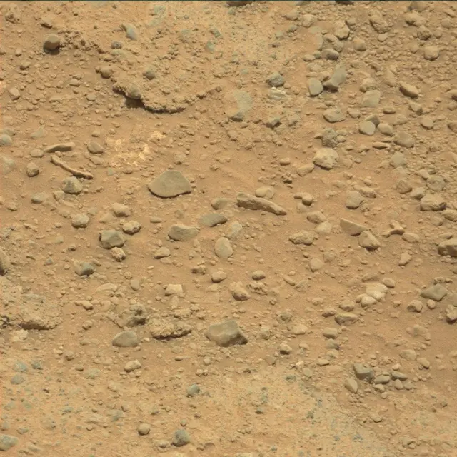Sol 352: Mast Camera (Mastcam)