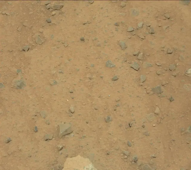 Sol 353: Mast Camera (Mastcam)