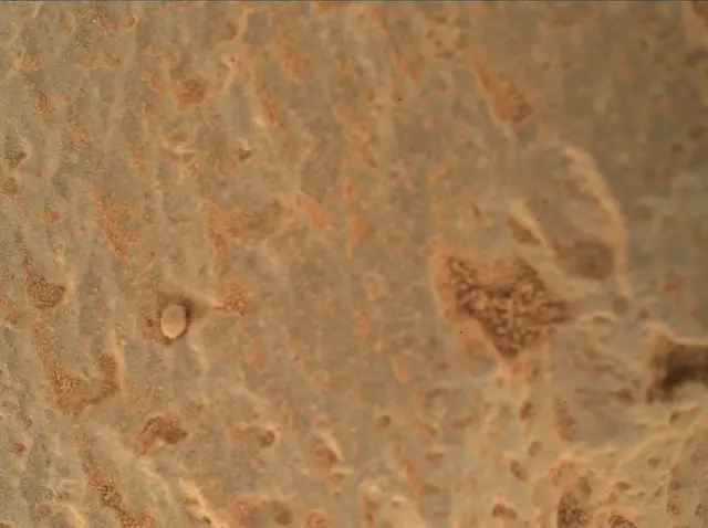 Sol 360: Mars Hand Lens Imager (MAHLI)