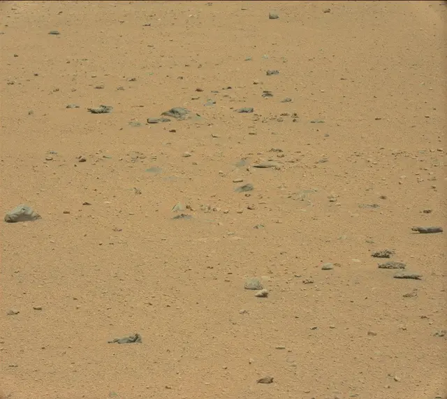 Sol 364: Mast Camera (Mastcam)