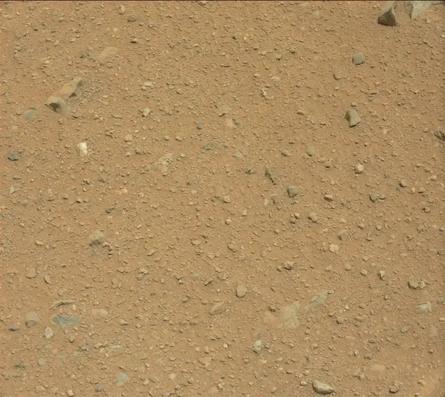 Sol 364: Mast Camera (Mastcam)