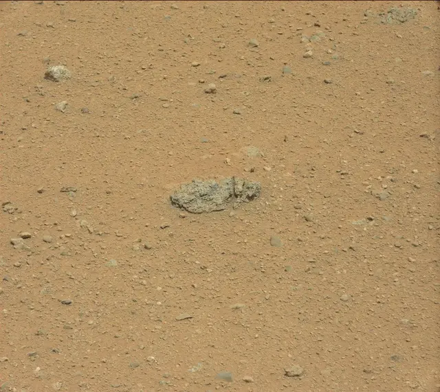 Sol 365: Mast Camera (Mastcam)
