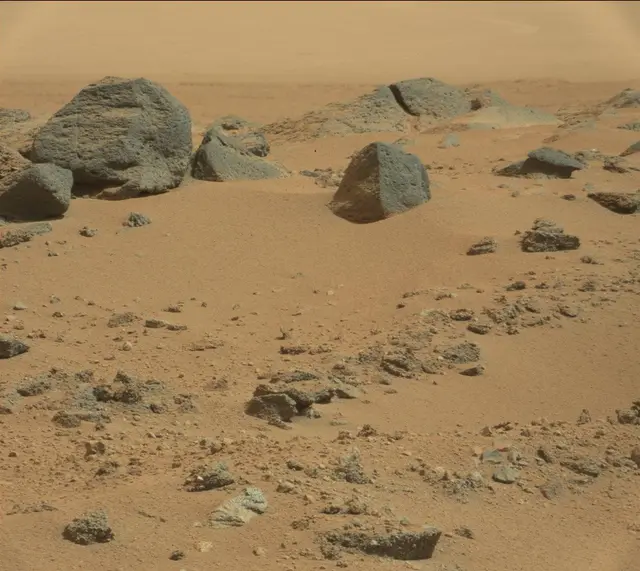 Sol 365: Mast Camera (Mastcam)