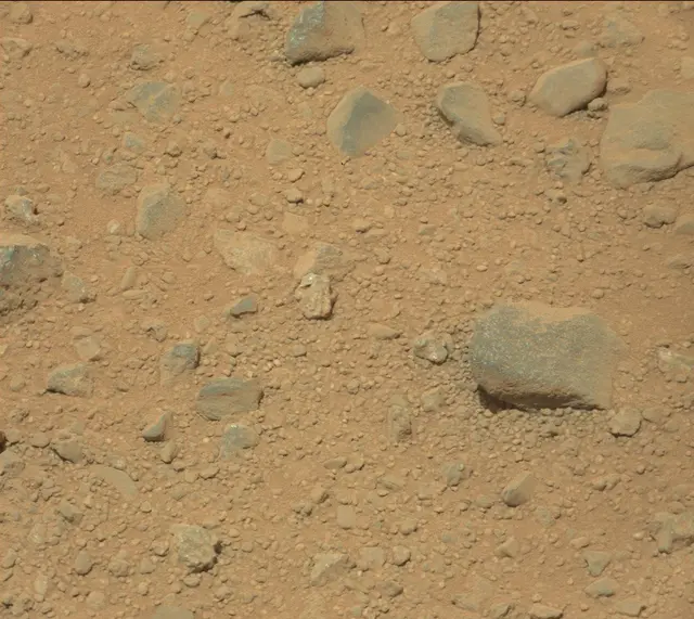 Sol 373: Mast Camera (Mastcam)