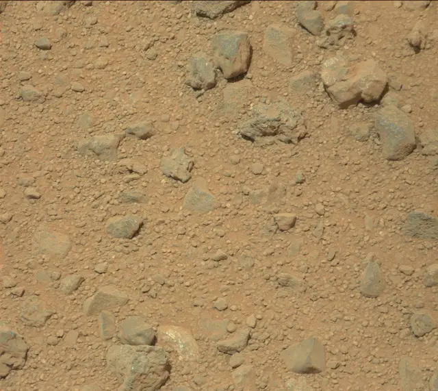 Sol 373: Mast Camera (Mastcam)
