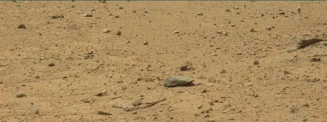 Sol 377: Mast Camera (Mastcam)