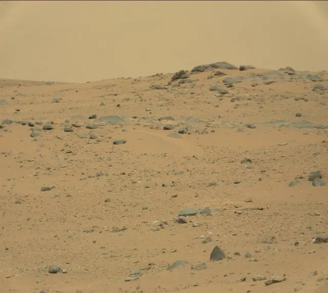 Sol 377: Mast Camera (Mastcam)