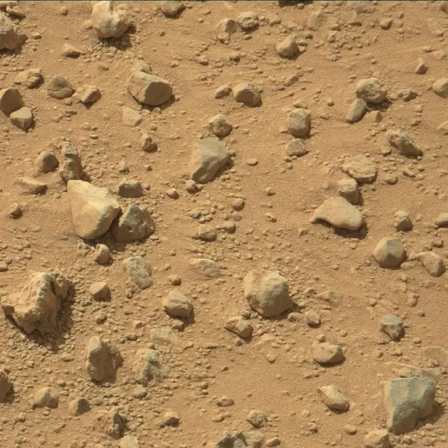 Sol 377: Mast Camera (Mastcam)