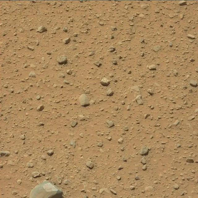 Sol 378: Mast Camera (Mastcam)