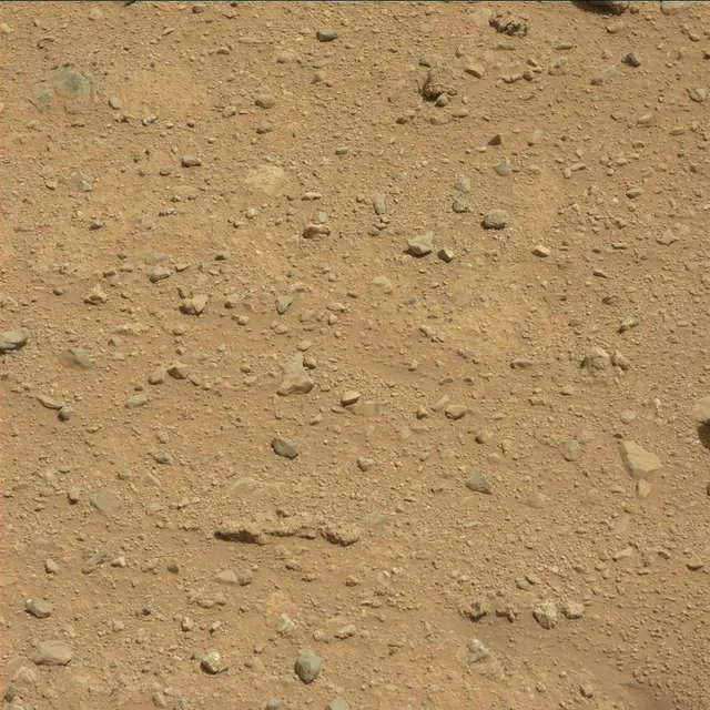 Sol 384: Mast Camera (Mastcam)