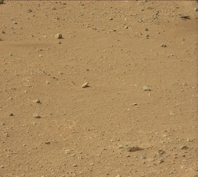 Sol 384: Mast Camera (Mastcam)