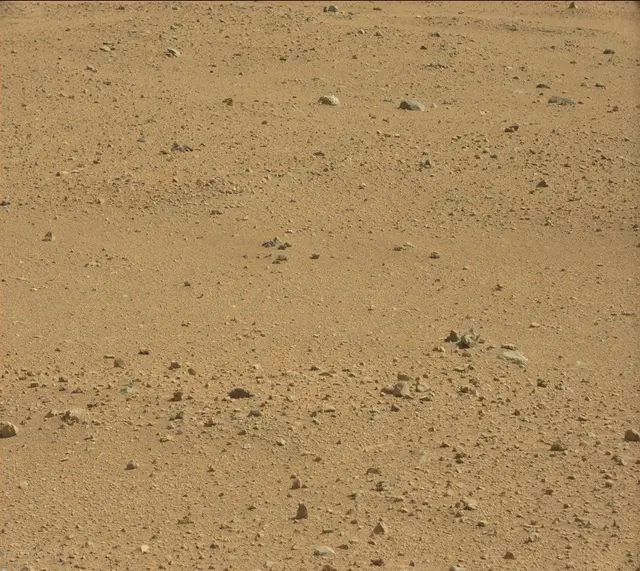 Sol 384: Mast Camera (Mastcam)