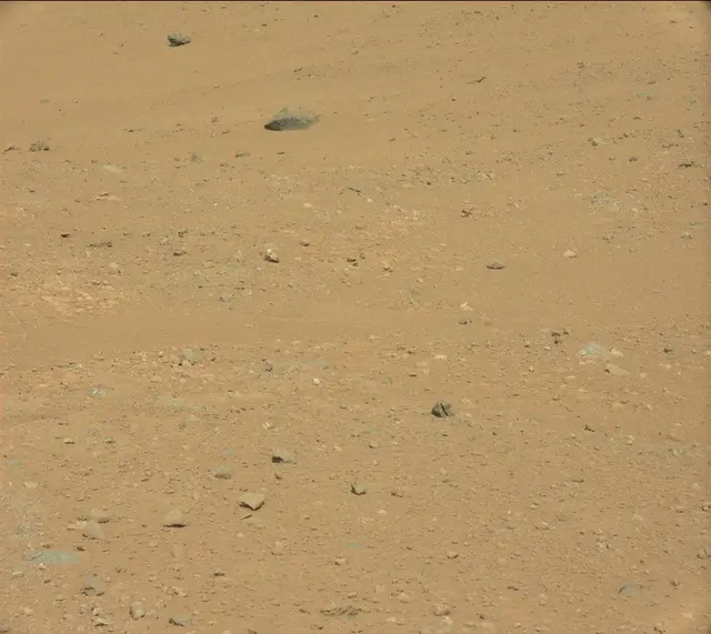 Sol 384: Mast Camera (Mastcam)