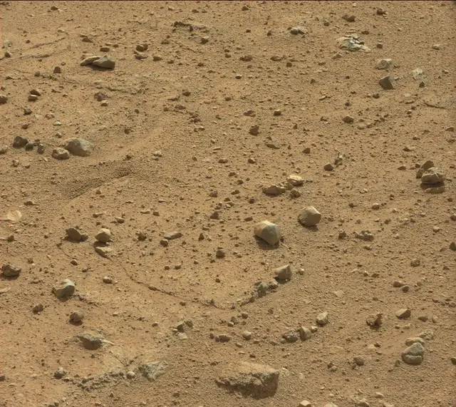 Sol 384: Mast Camera (Mastcam)