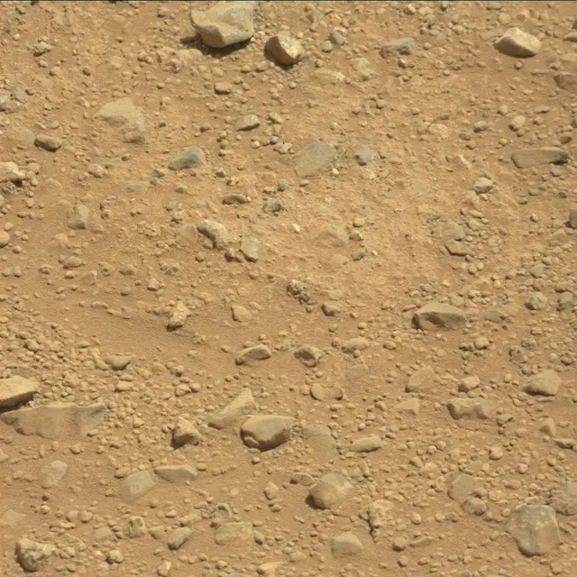 Sol 384: Mast Camera (Mastcam)