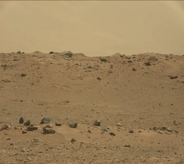 Sol 385: Mast Camera (Mastcam)