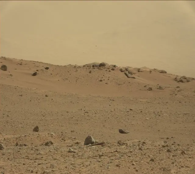 Sol 385: Mast Camera (Mastcam)
